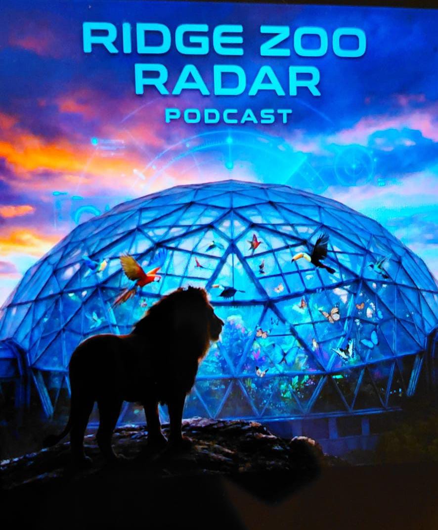 Zeeleeuwen naar Tunesië, Schildpaddencrisis en altijd goed opletten