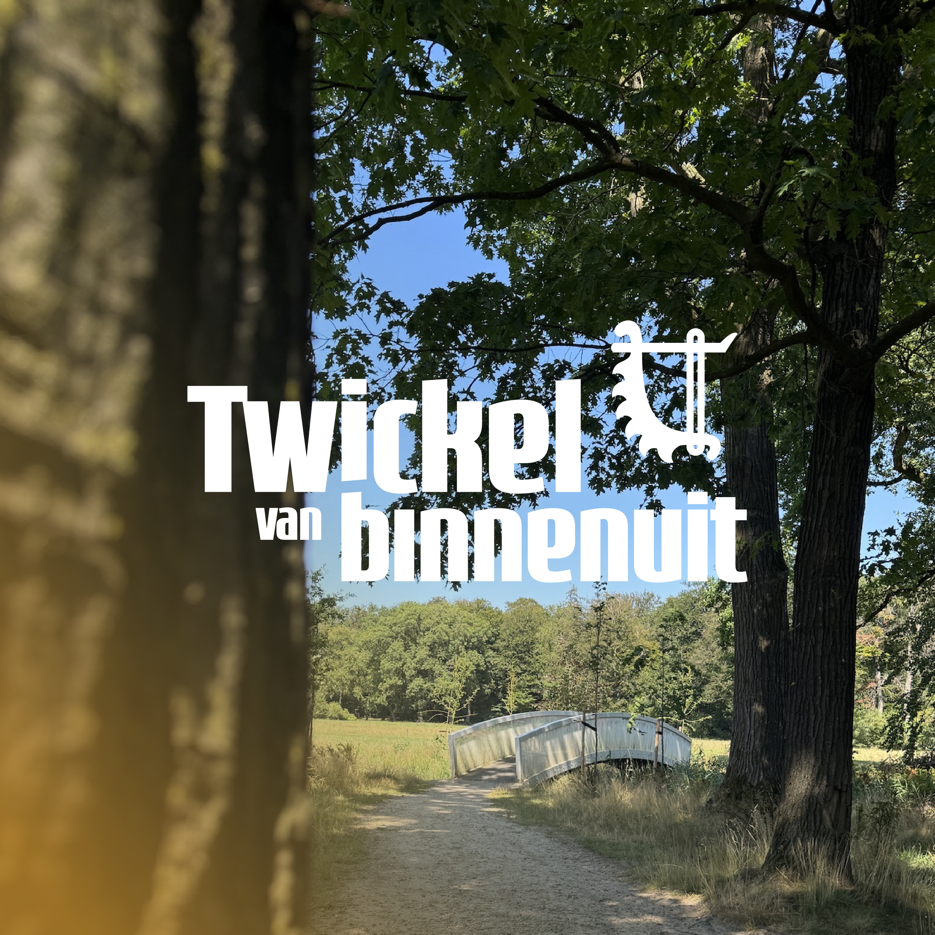Afl. 13 - Twickel als Gesamtkunstwerk episode artwork