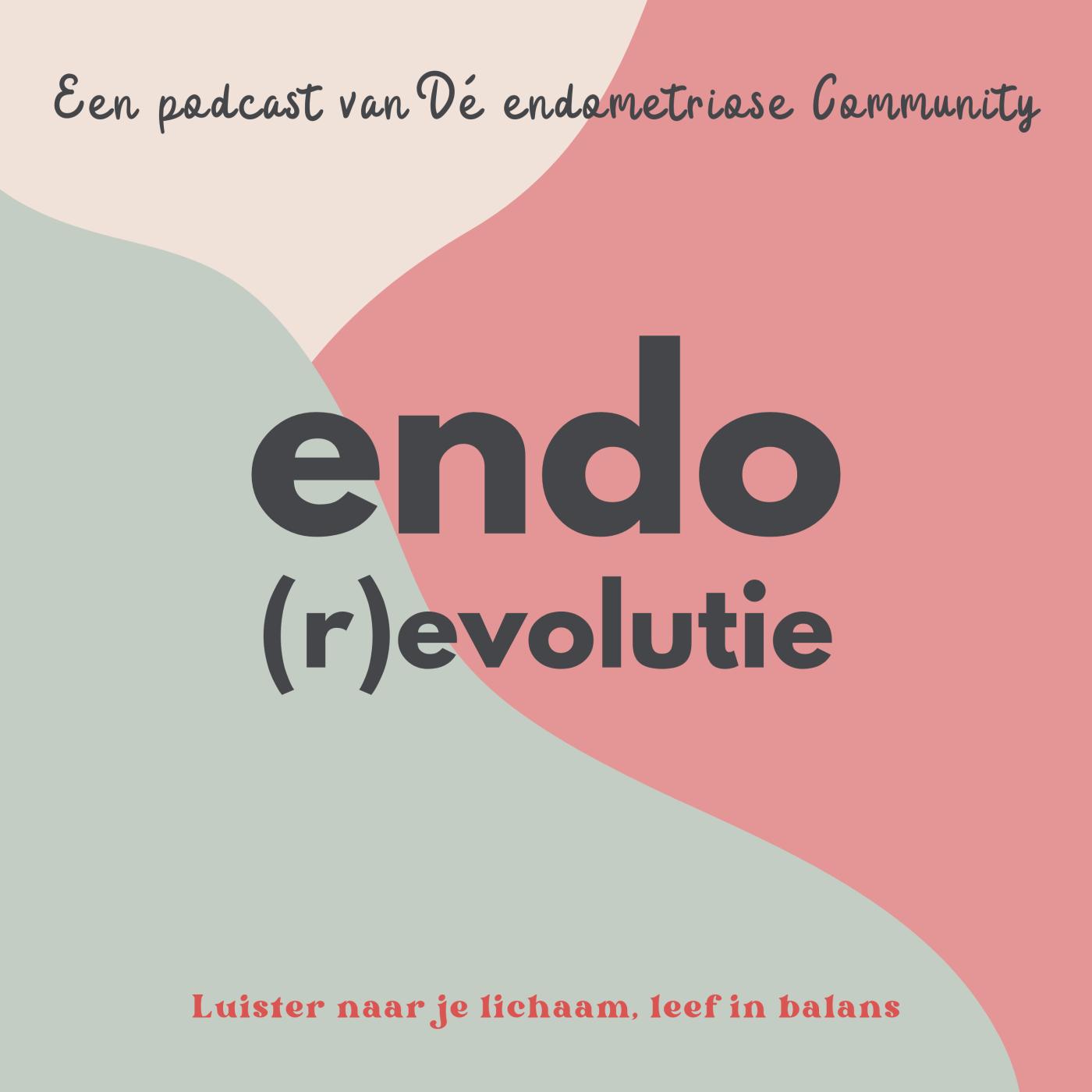 107. Van dromen naar doen: jouw vision board en endometriose healing