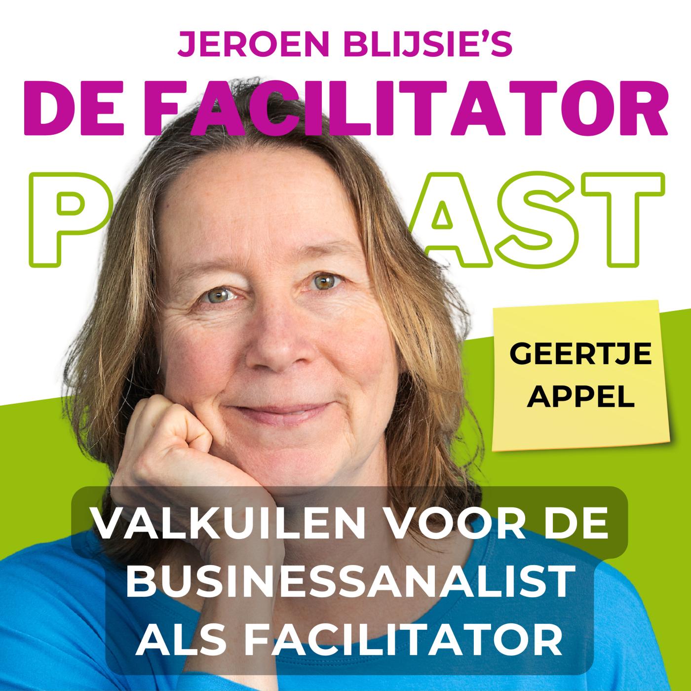 #12 Valkuilen voor de buisnessanalist als facilitator - Geertje Appel aflevering artwork