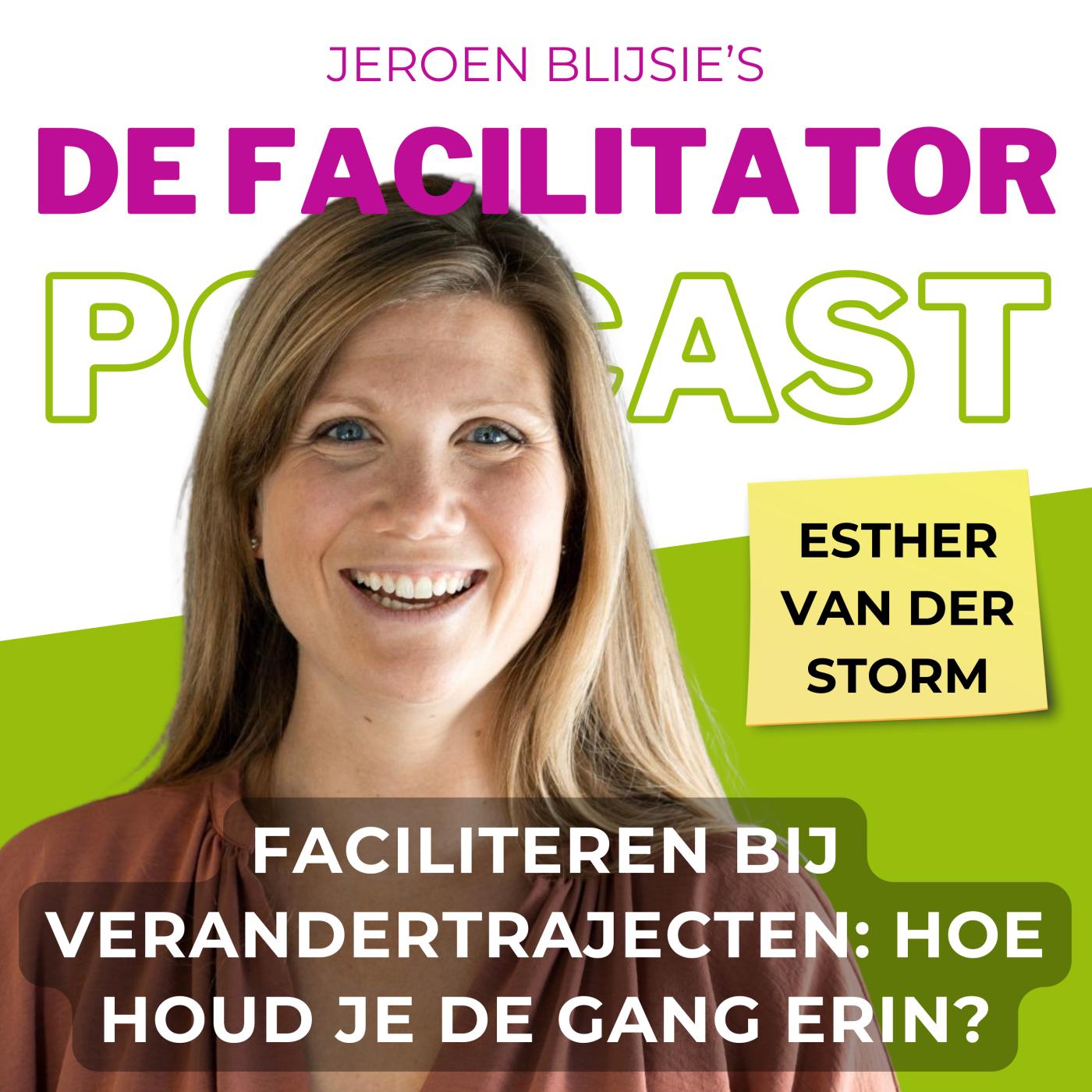 #31 Faciliteren bij verandertrajecten: hoe houd je de gang erin? - Esther van der Storm aflevering artwork