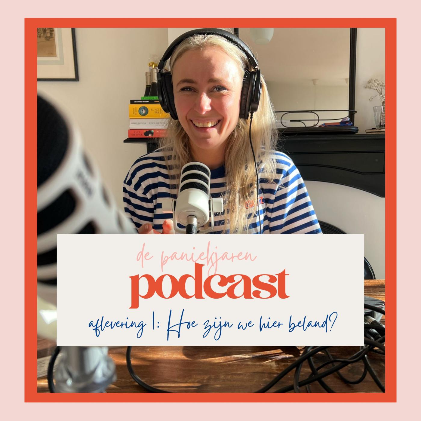 Hoe zijn we hier beland? aflevering artwork