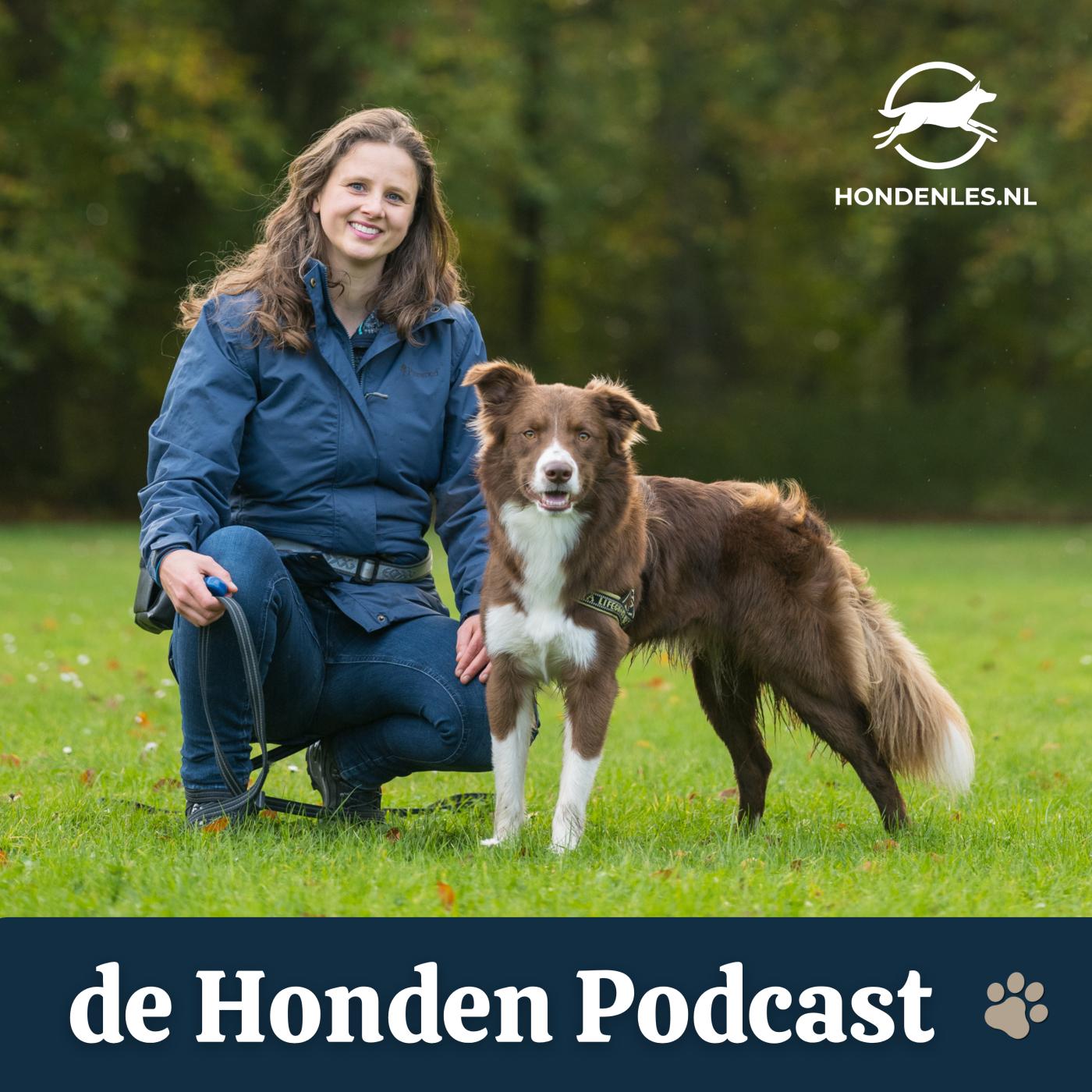 de Honden Podcast podcast artwork