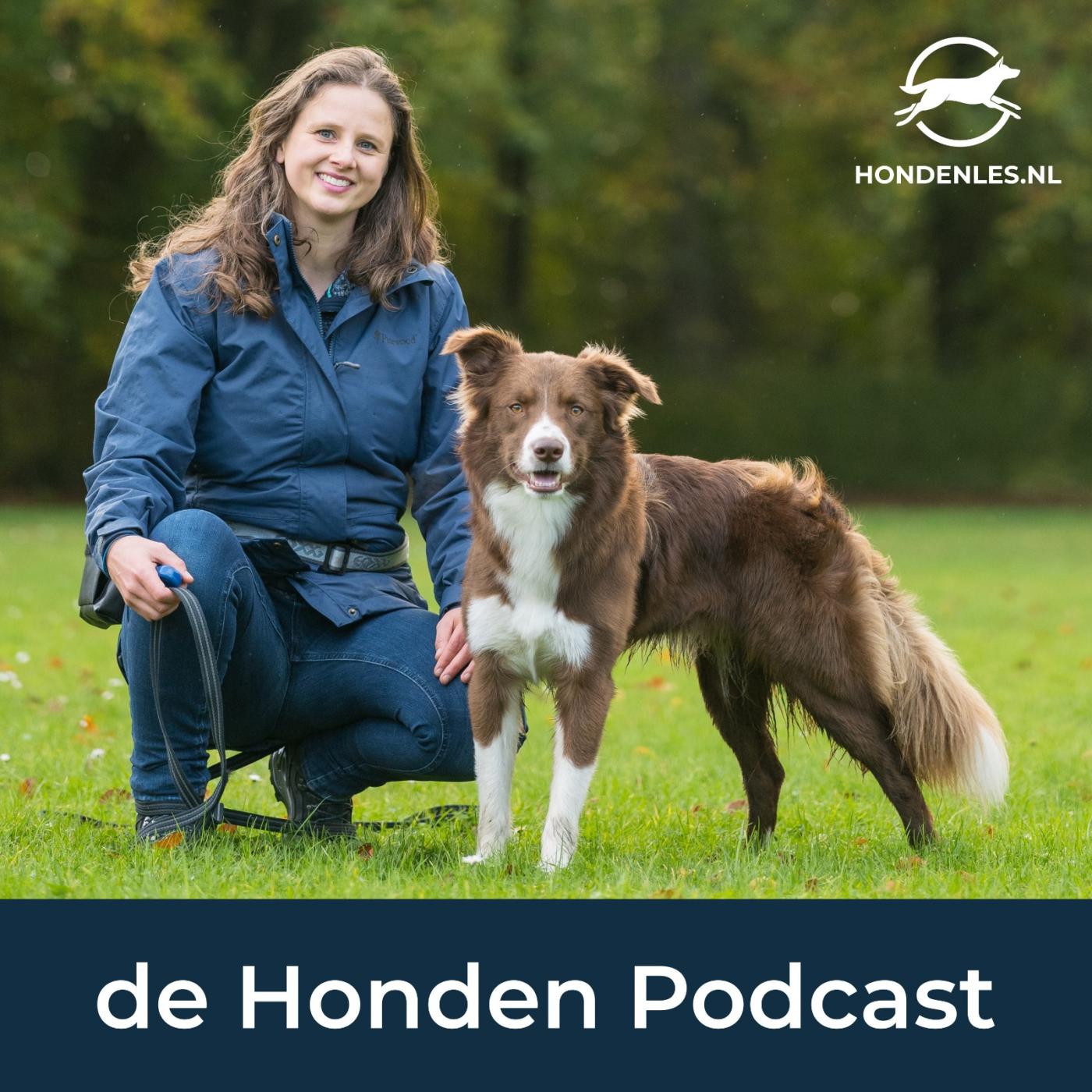 de Honden Podcast podcast artwork