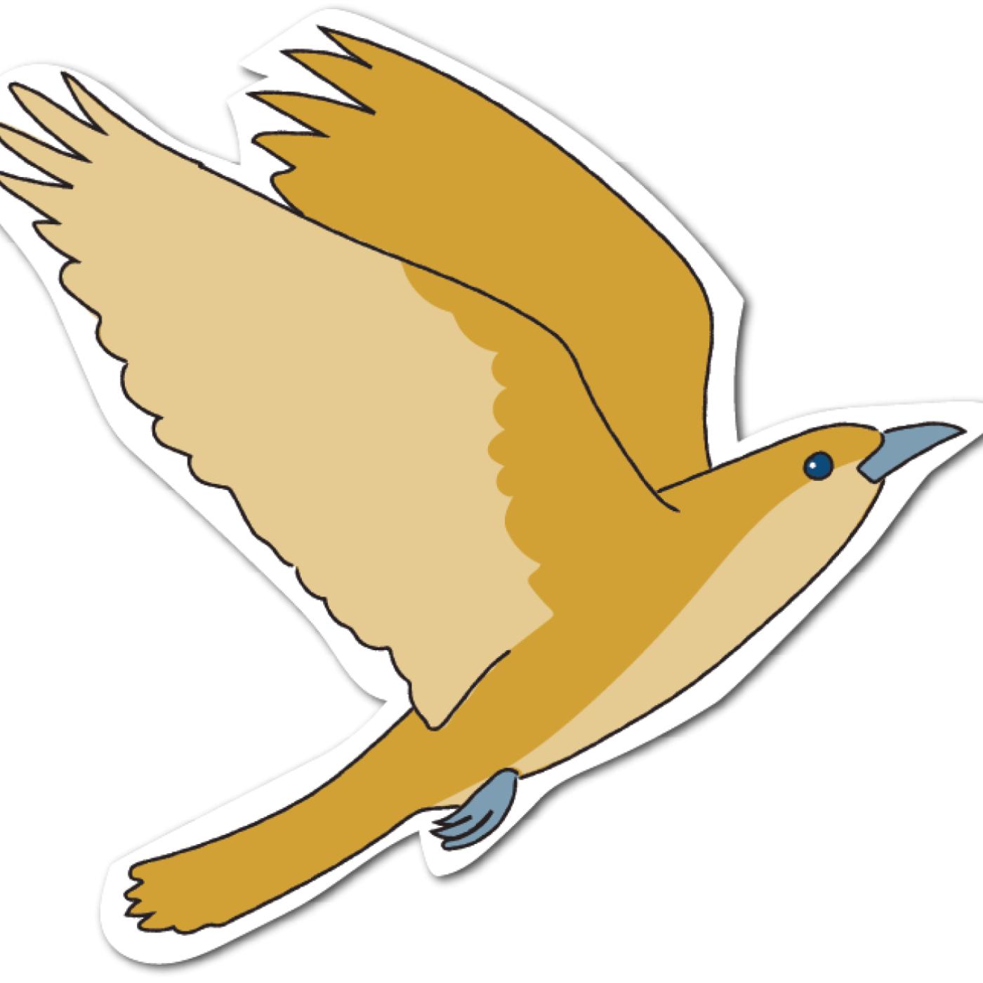 De Jeugdbescherming in Verbinding Podcast podcast artwork