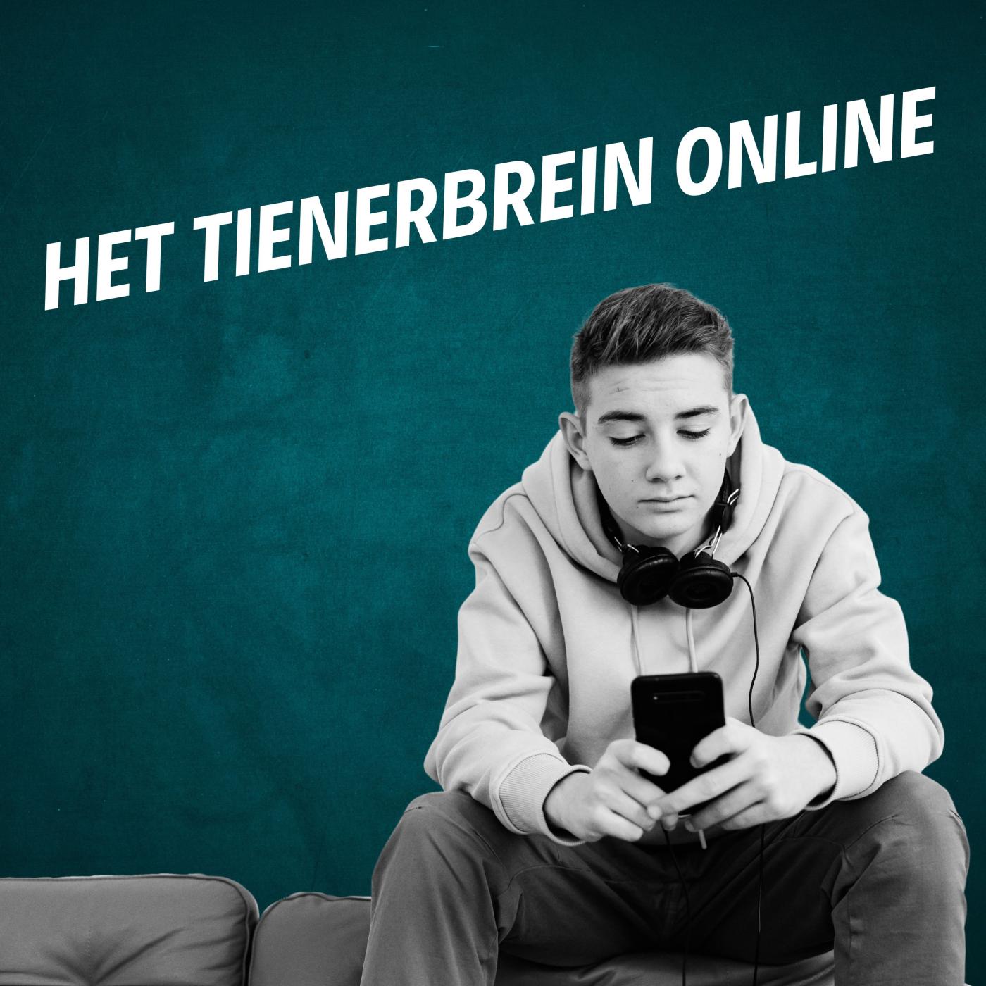 Het tienerbrein online
