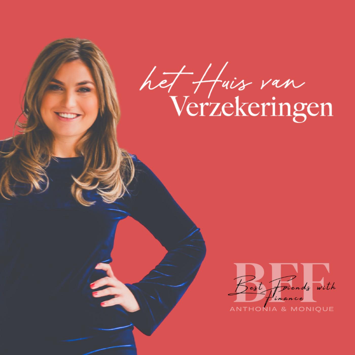 Interview met Sandra Nooyen van Het Huis van Verzekeringen aflevering artwork