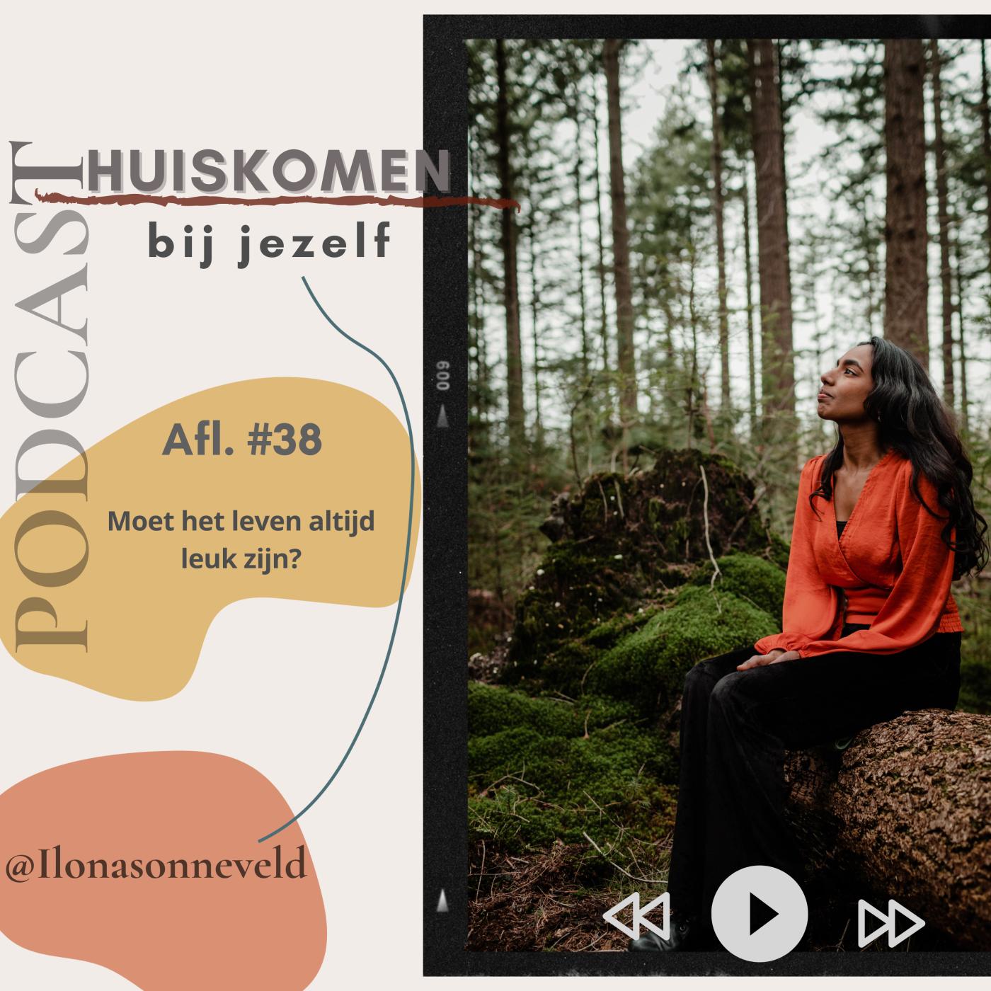 Moet het leven altijd leuk zijn? aflevering artwork