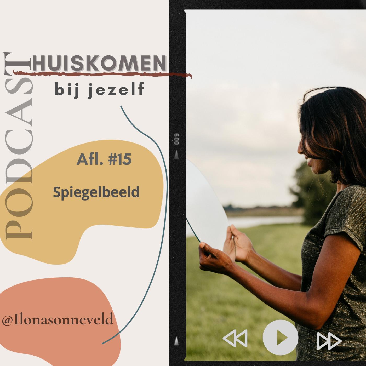 Spiegelbeeld aflevering artwork