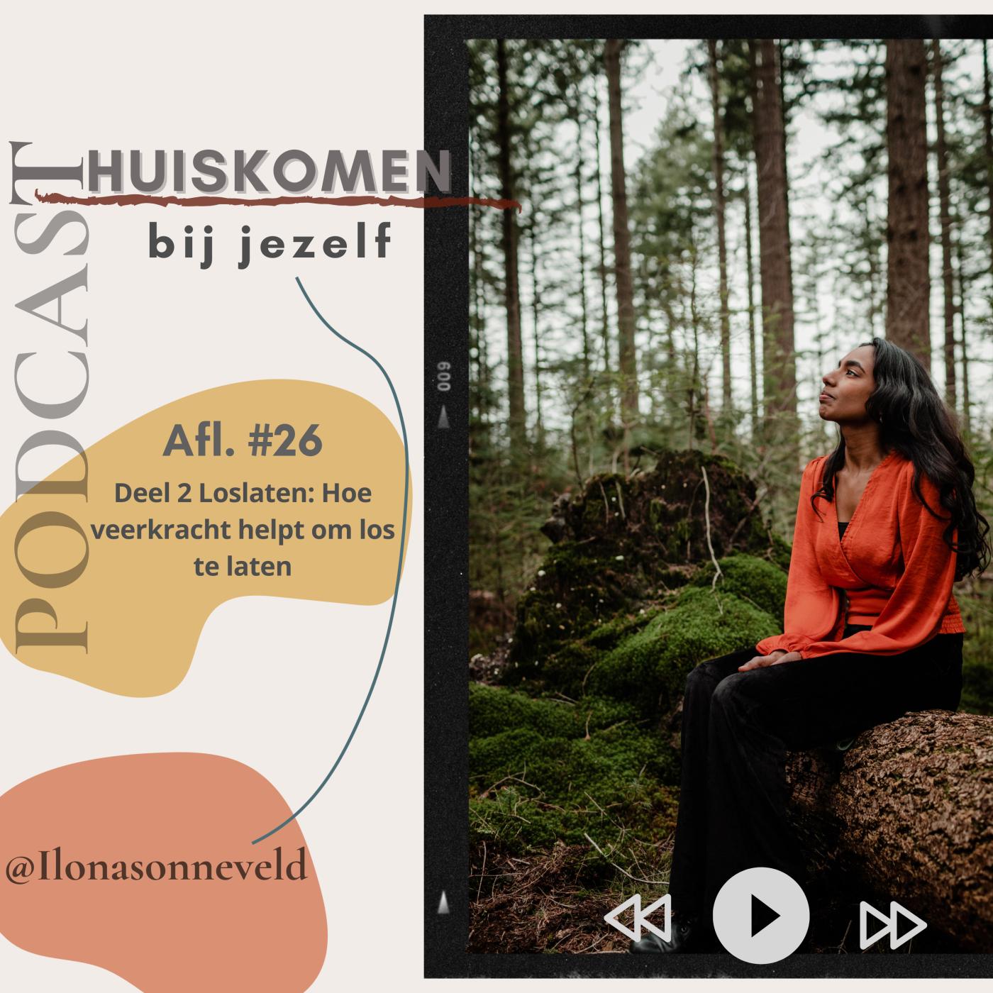 Hoe veerkracht helpt om los te laten aflevering artwork