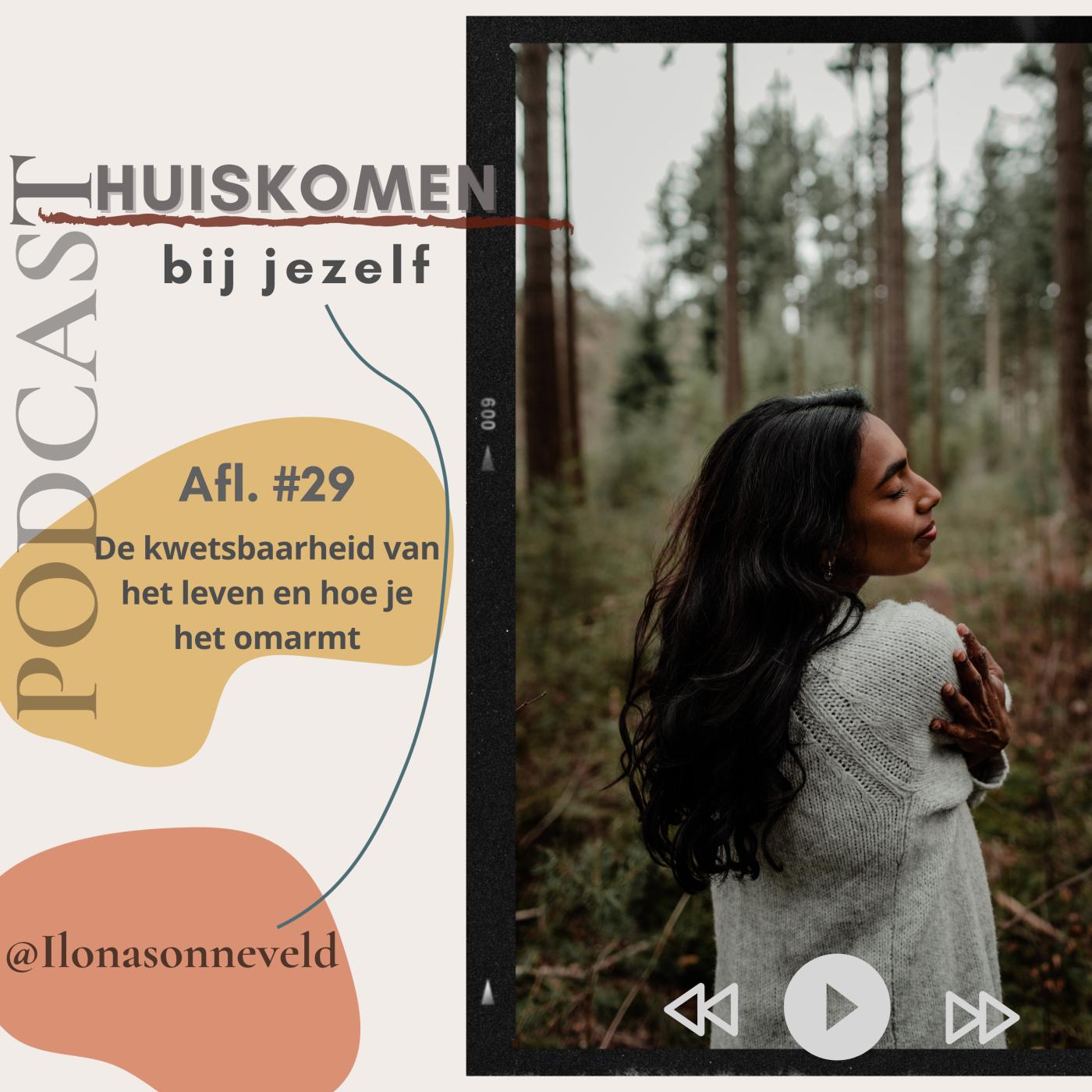 De kwetsbaarheid van het leven aflevering artwork