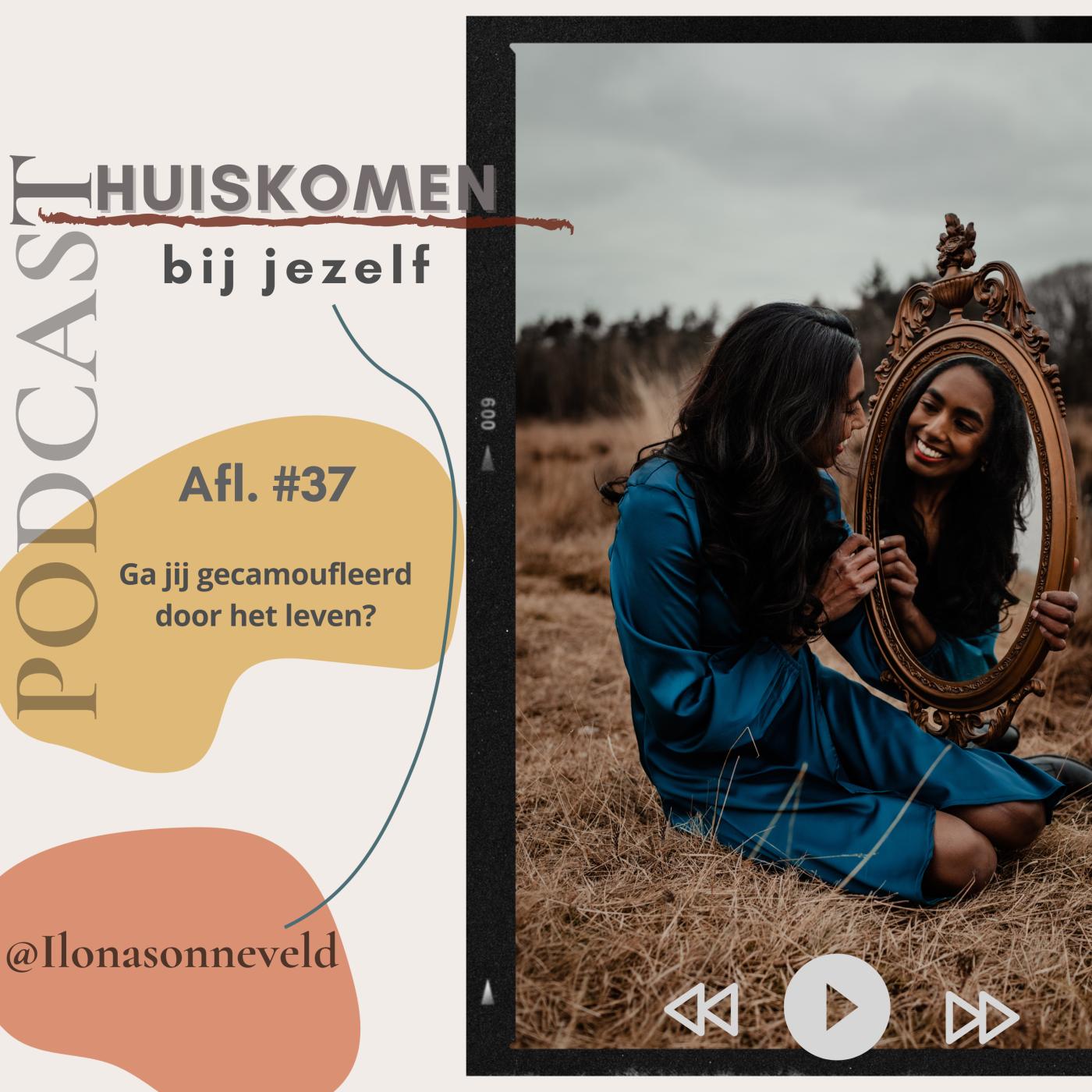 Camoufleren: aanpassen wie je bent aflevering artwork