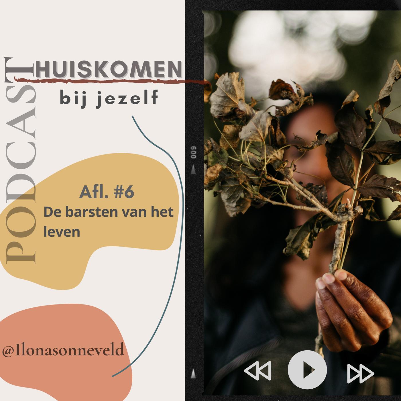 De barsten van het leven aflevering artwork