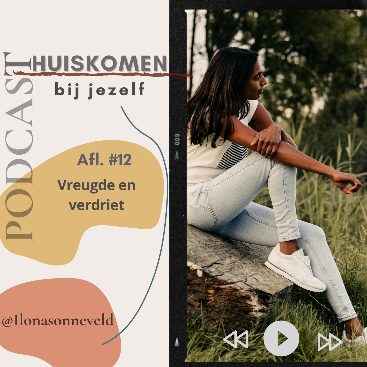 Vreugde en verdriet aflevering artwork